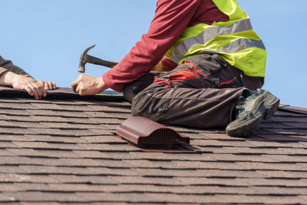 Best Metal Roofing Contractor  in Christopher, IL