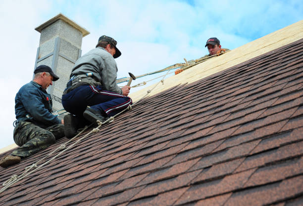 Best Storm Damage Roof Repair  in Christopher, IL