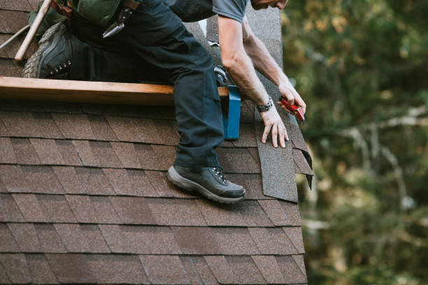 Best Commercial Roofing Services  in Christopher, IL